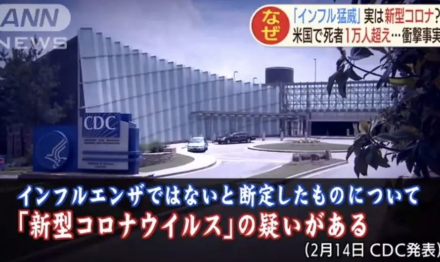 小环环，你确认你没有在报道假新闻？