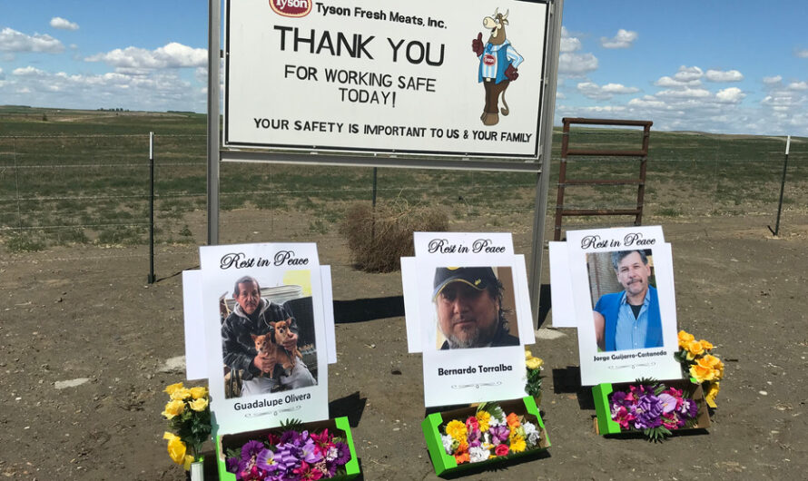 泰森牛肉厂3名员工死于新冠病毒！