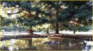 Joseph H. Stewart State Recreation Area Campground