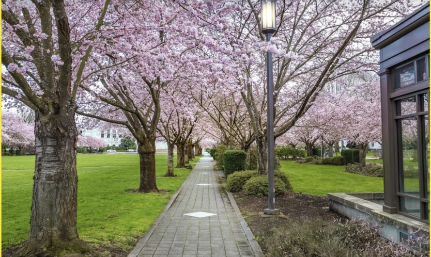 德州母亲切了她儿子的生殖器，搬到大爱俄勒冈州！