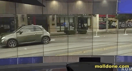 “占领区“反抗者与警察在高速公路上追逐
