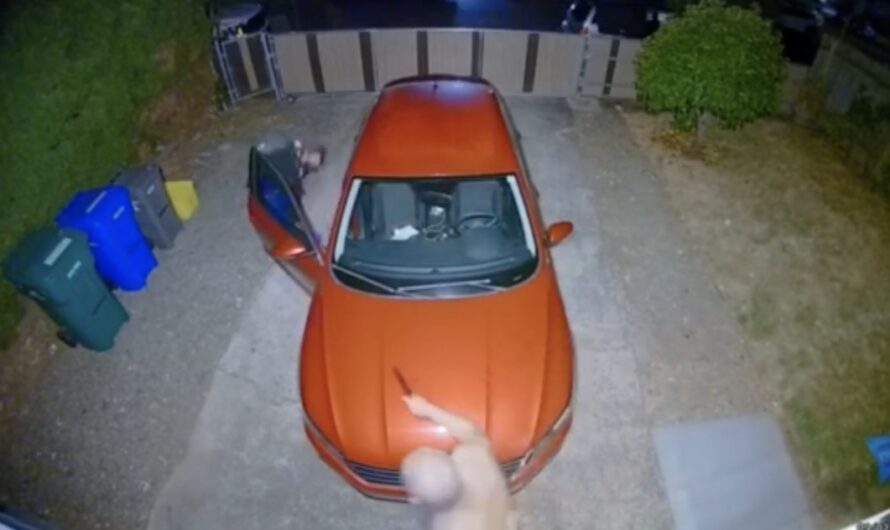 波特兰华人家庭半夜被盗，男主持枪驱贼 ！