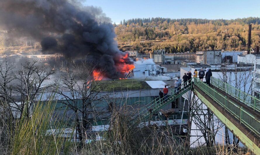 Oregon City造纸厂爆发三次警报大火，一人被捕