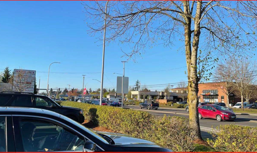 一天增816例新冠，俄勒冈连续三个星期激增