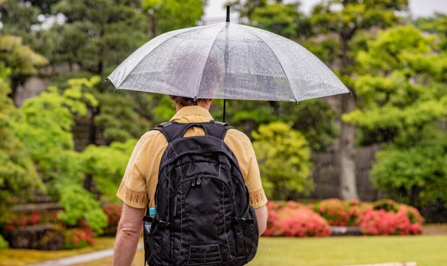 西雅图下雨了，结束51无雨状态！