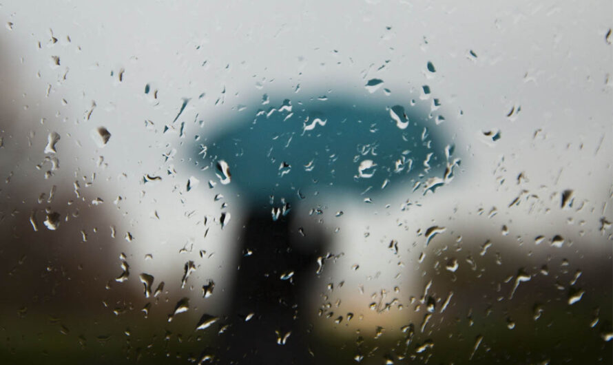 Lake Oswego 地区学校因停电关闭