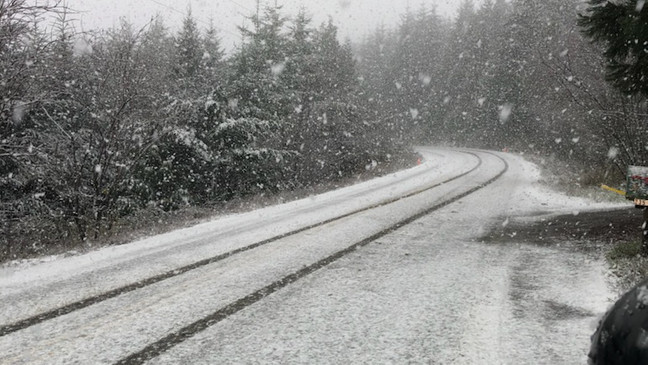 大波特兰地区星期三可能下雪！