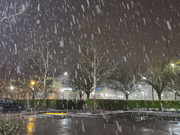 太平洋西北地区迎来湿润、风雪交加的圣诞节！