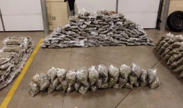 俄勒冈州居民房屋被搜出超270磅大麻，多名华裔被捕