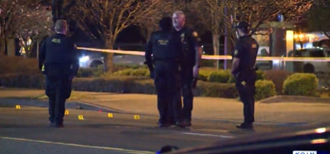 Holgate 82街发生枪击，6岁男孩受伤