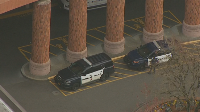 自由大波特兰，13小时内两小孩被抢