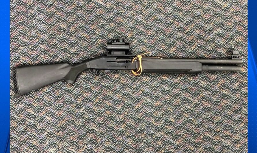 警方在波特兰东南区追捕2人，缴获霰弹枪