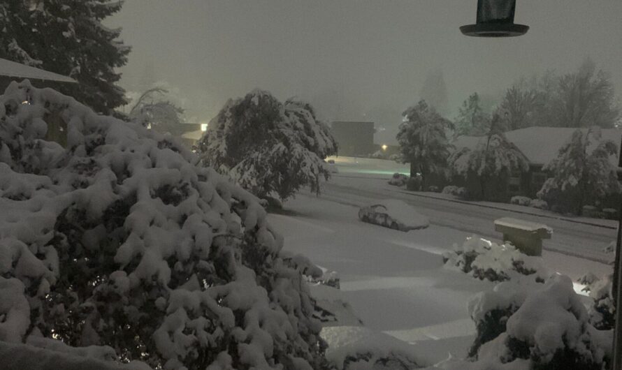 冰天雪地时，波特兰竟然没开放避难所