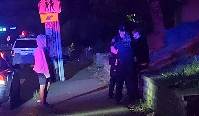 一名家暴嫌疑人向警察开枪后被击毙