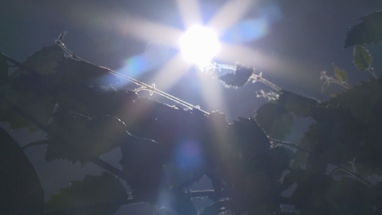 热浪袭击中，波特兰都市圈开放避暑中心