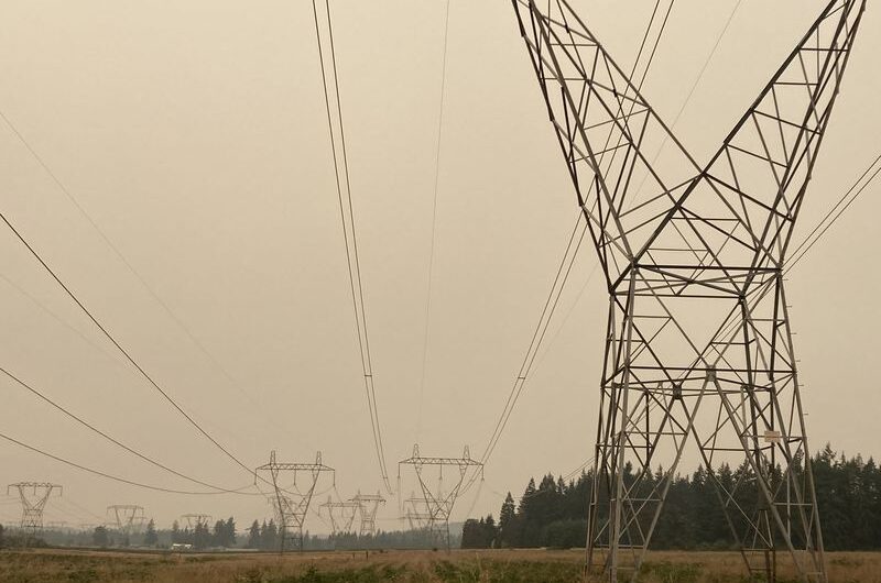 电力公司开始逐步恢复各地区的电源