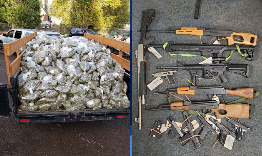 俄勒冈州警察突袭大麻农场，非法大麻成车成山！