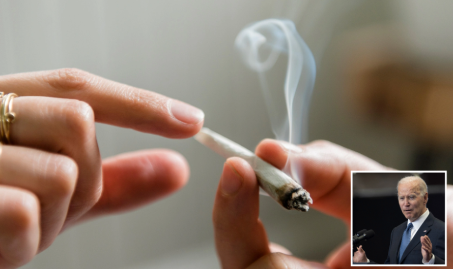 拜登大赦！所有犯联邦大麻罪的人无罪释放！下令审查联邦大麻法！