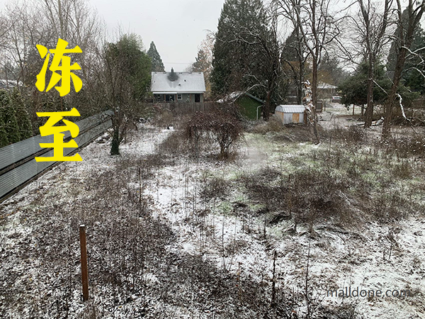 波特兰都市圈过“冻至”！大规模断电，航班取消！