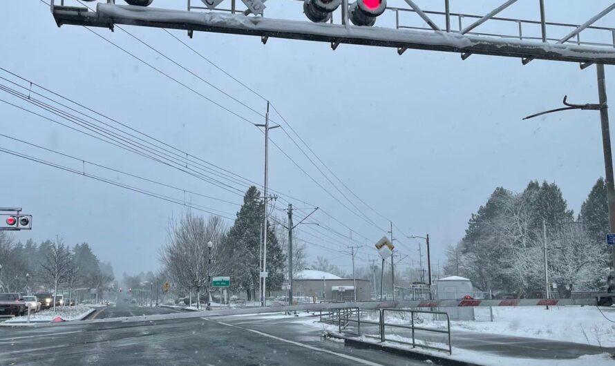 冻雨威胁解除！波特兰都市圈迎来浪漫的初雪！