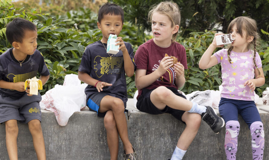 波特兰夏天公园免费午餐已经开始！