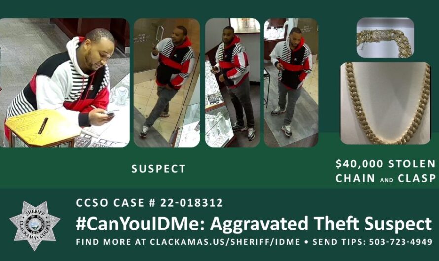 零元购抢走价值4万美元的项链！警方通缉