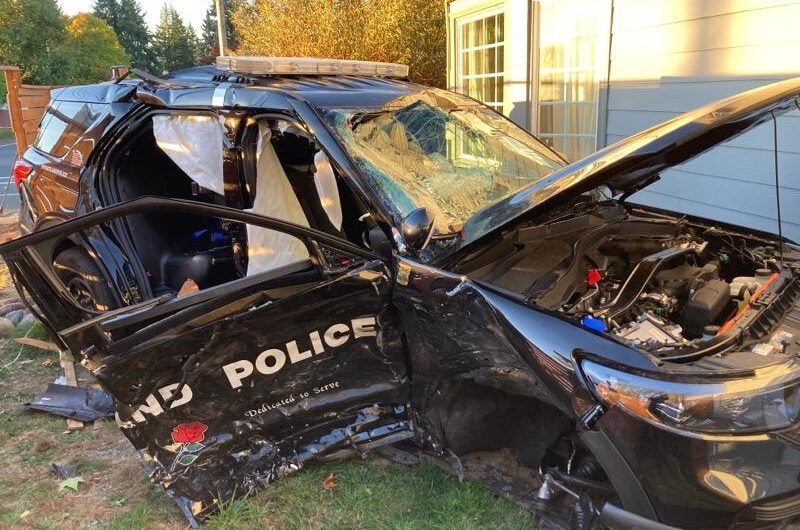 波特兰东南区入室抢劫，雌雄大盗和两警察在车祸中受伤！