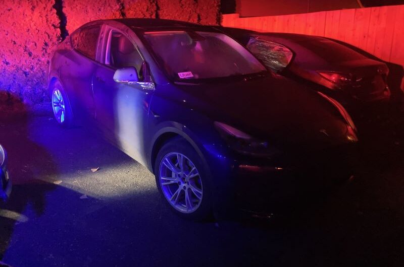 波特兰4辆被盗的特斯拉被追回，2人被捕！