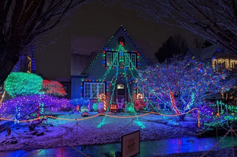 波特兰孔雀巷12月15日星期五开放！