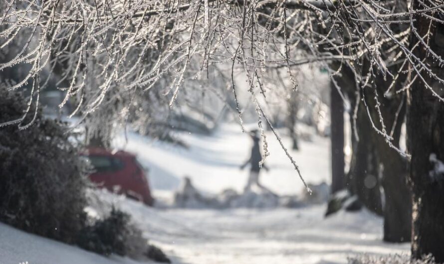 波特兰已至少冷死1人，避难所收容740人