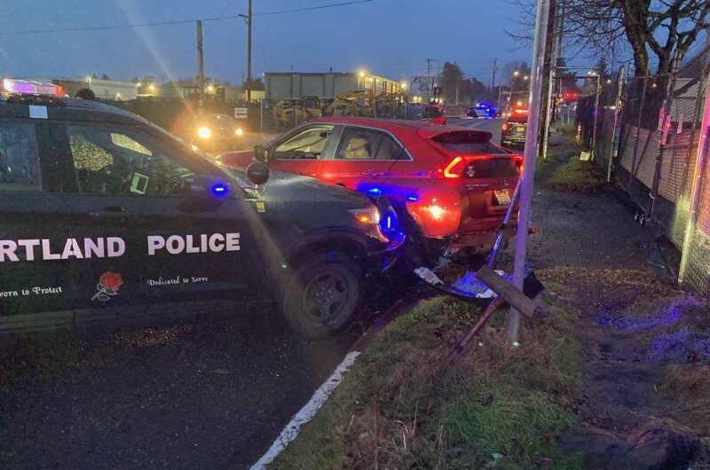 十多人被捕，十几辆被盗汽车追回！