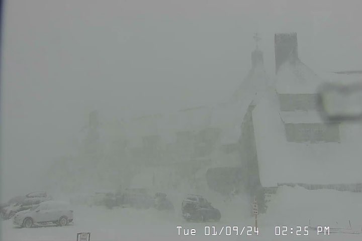 雪山迎来十多年第一场暴风雪！波特兰地区下雪警报！