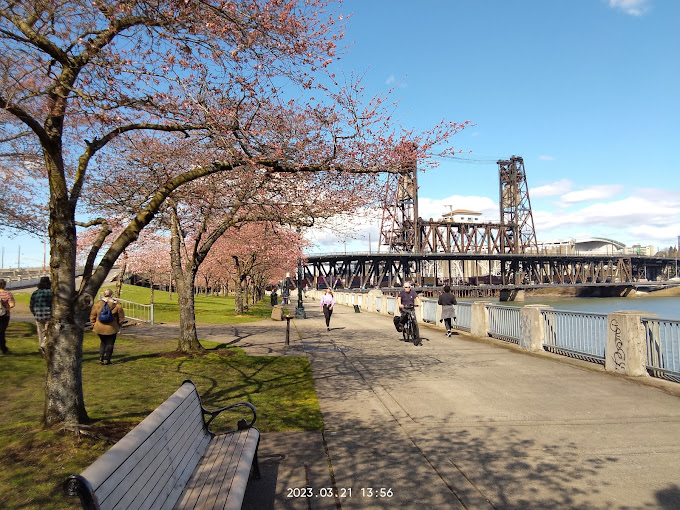 钢桥凶杀案凶手已被捕，或很快释放！