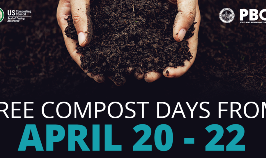 2024年免费垃圾泥领取日期：4月20日至22日！