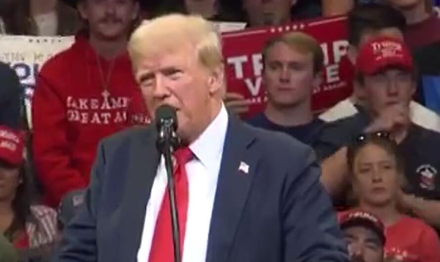 特朗普说要向“自愿离境”的非法移民提供机票和补助金！