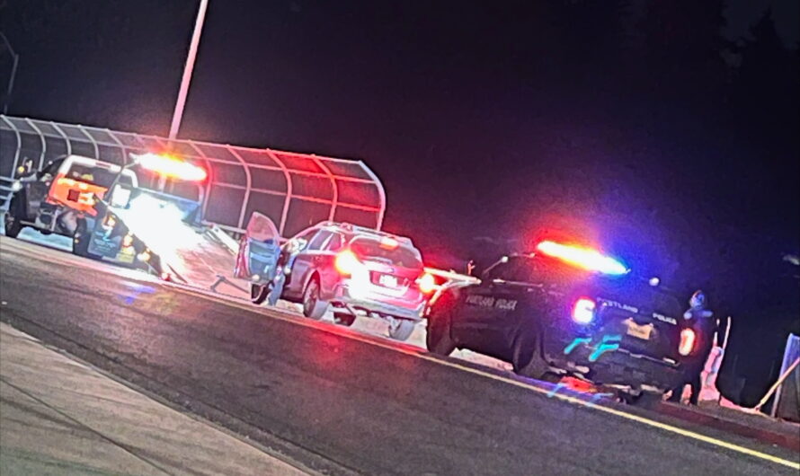 波特兰82街红灯区扫黄，两未成年受害者救出！