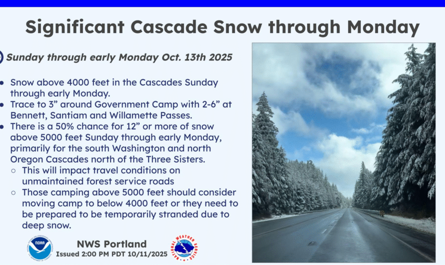 冬天就这样开始了，山上落雪了！