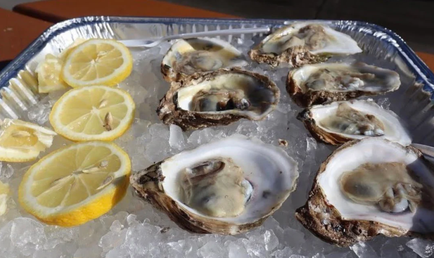 紧急召回！FDA警告部分生蚝和蛤蜊受诺如病毒污染，已流入俄勒冈、华盛顿等多州！